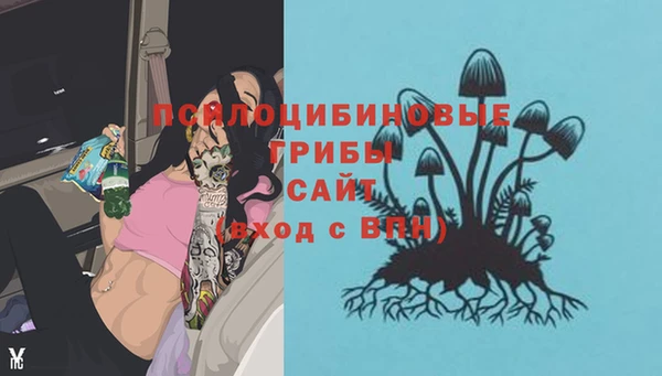 MDMA Premium VHQ Алзамай