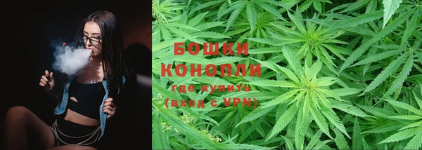 не бодяженный Пересвет